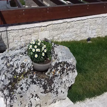 Nonna Rosa Alloggio per agriturismo *